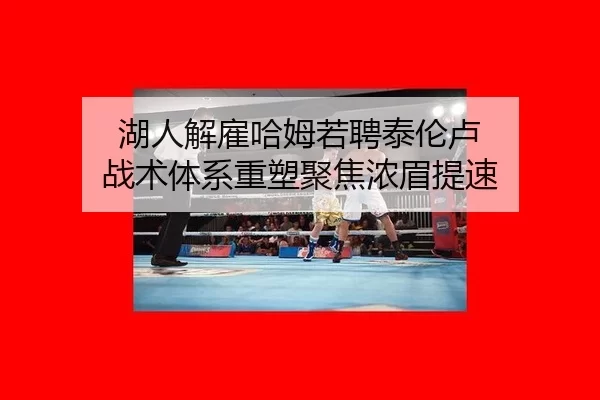 湖人解雇哈姆若聘泰伦卢 战术体系重塑聚焦浓眉提速